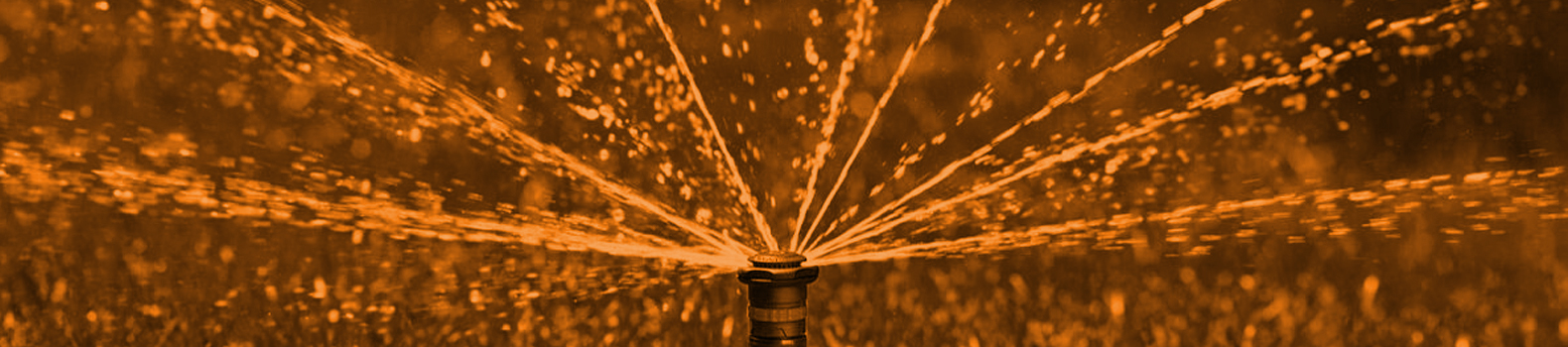 top-banner